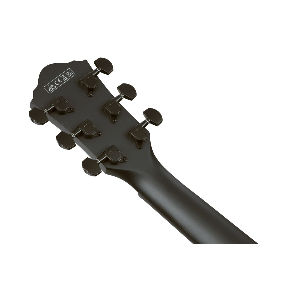Ibanez AEG621-BOT AEG Acoustic Guitar 6-String - Black Out