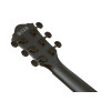 Ibanez AEG621-BOT AEG Acoustic Guitar 6-String - Black Out