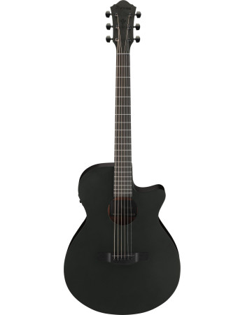 Ibanez AEG621-BOT AEG Acoustic Guitar 6-String - Black Out