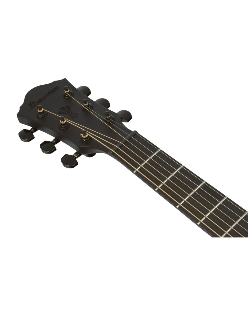 Ibanez AEG621-BOT AEG Acoustic Guitar 6-String - Black Out