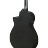 Ibanez AEG621-BOT AEG Acoustic Guitar 6-String - Black Out