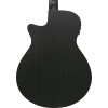 Ibanez AEG621-BOT AEG Acoustic Guitar 6-String - Black Out