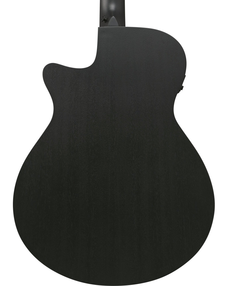 Ibanez AEG621-BOT AEG Acoustic Guitar 6-String - Black Out