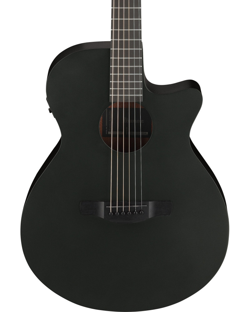 Ibanez AEG621-BOT AEG Acoustic Guitar 6-String - Black Out