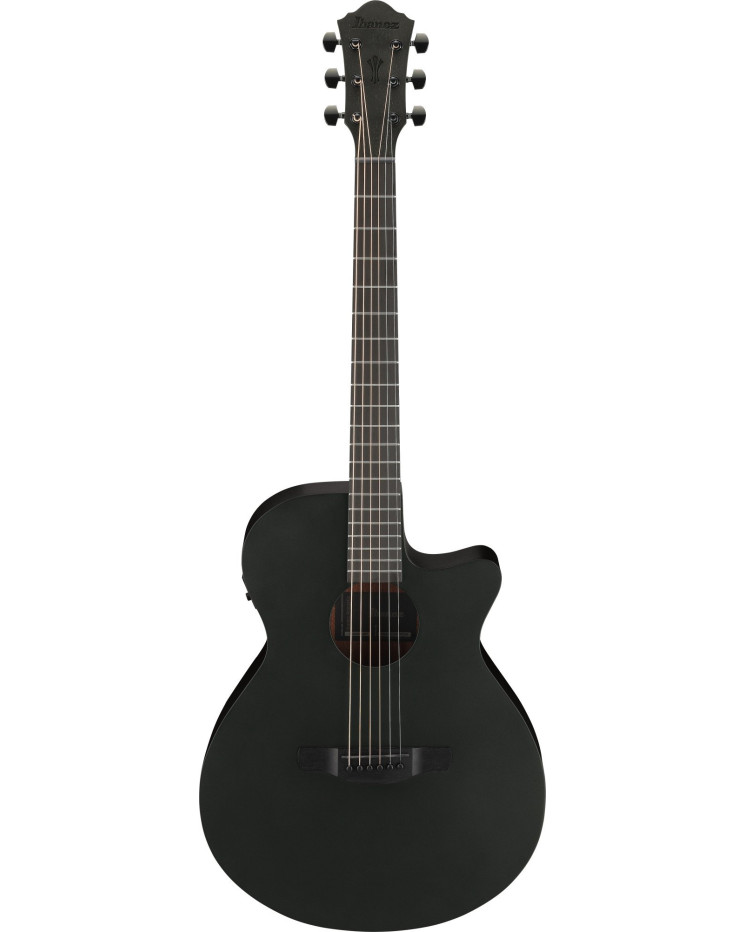 Ibanez AEG621-BOT AEG Acoustic Guitar 6-String - Black Out