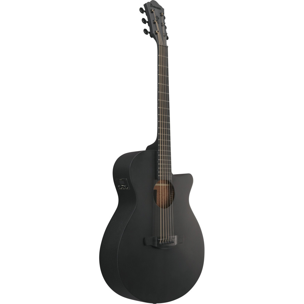 Ibanez AEG621-BOT AEG Acoustic Guitar 6-String - Black Out