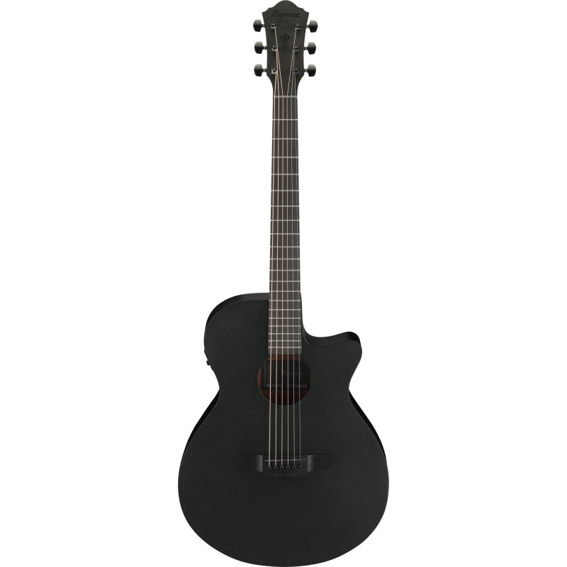 Ibanez AEG621-BOT AEG Acoustic Guitar 6-String - Black Out