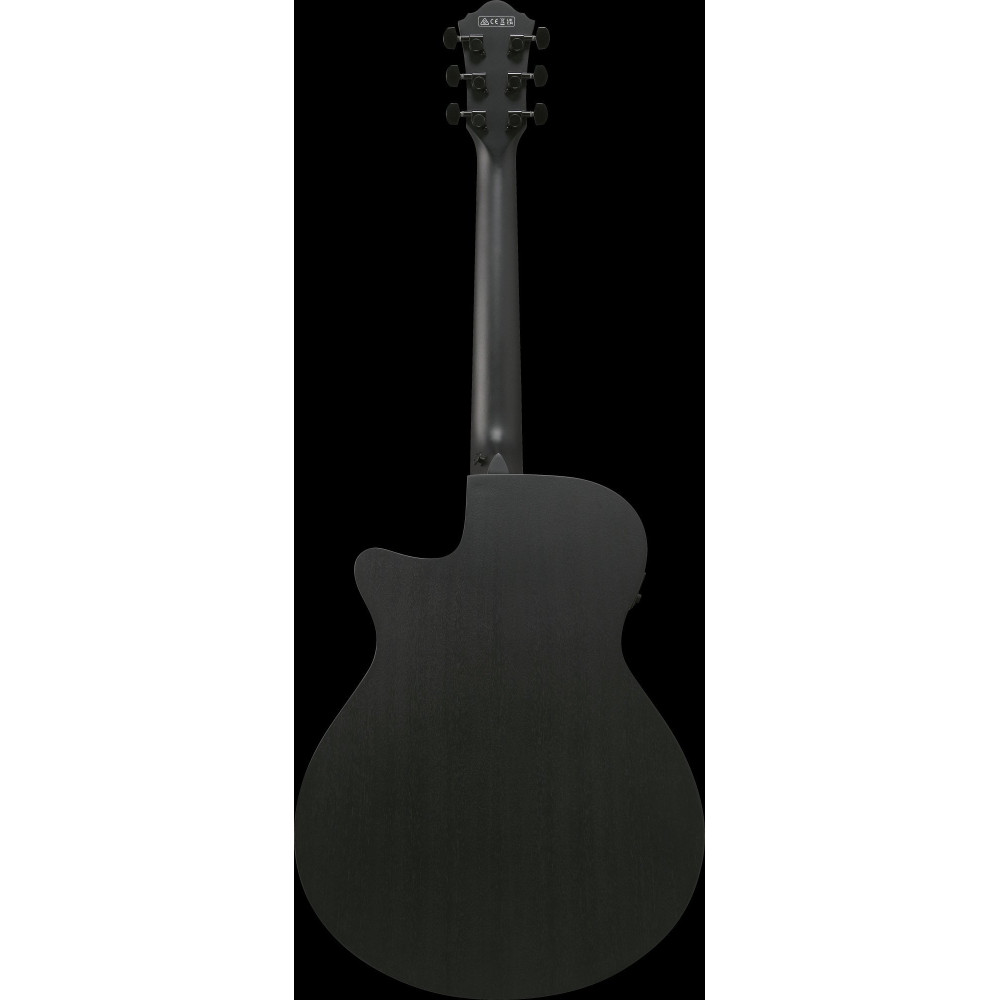 Ibanez AEG621-BOT AEG Acoustic Guitar 6-String - Black Out