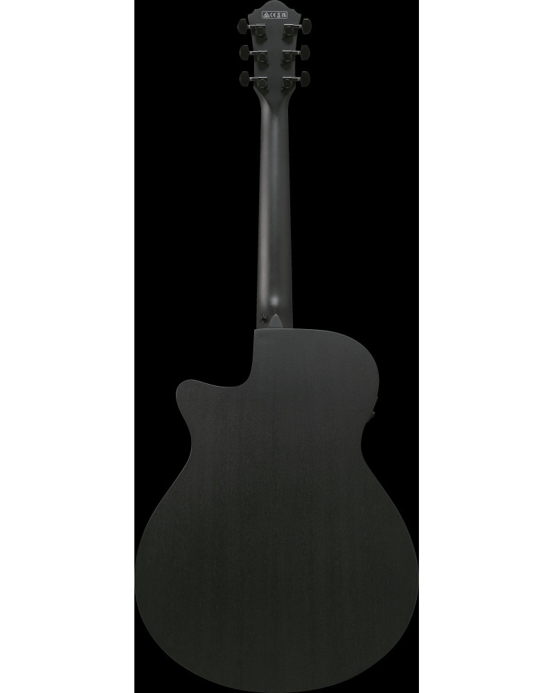 Ibanez AEG621-BOT AEG Acoustic Guitar 6-String - Black Out