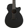 Ibanez 1B-AEG721-BOT AEG Acoustic Guitar 7-String - Black Out