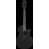 Ibanez 1B-AEG721-BOT AEG Acoustic Guitar 7-String - Black Out