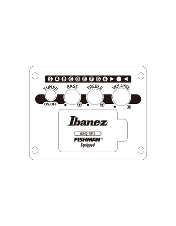 Ibanez 1B-AEG721-BOT AEG Acoustic Guitar 7-String - Black Out