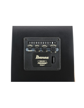 Ibanez 1B-AEG721-BOT AEG Acoustic Guitar 7-String - Black Out