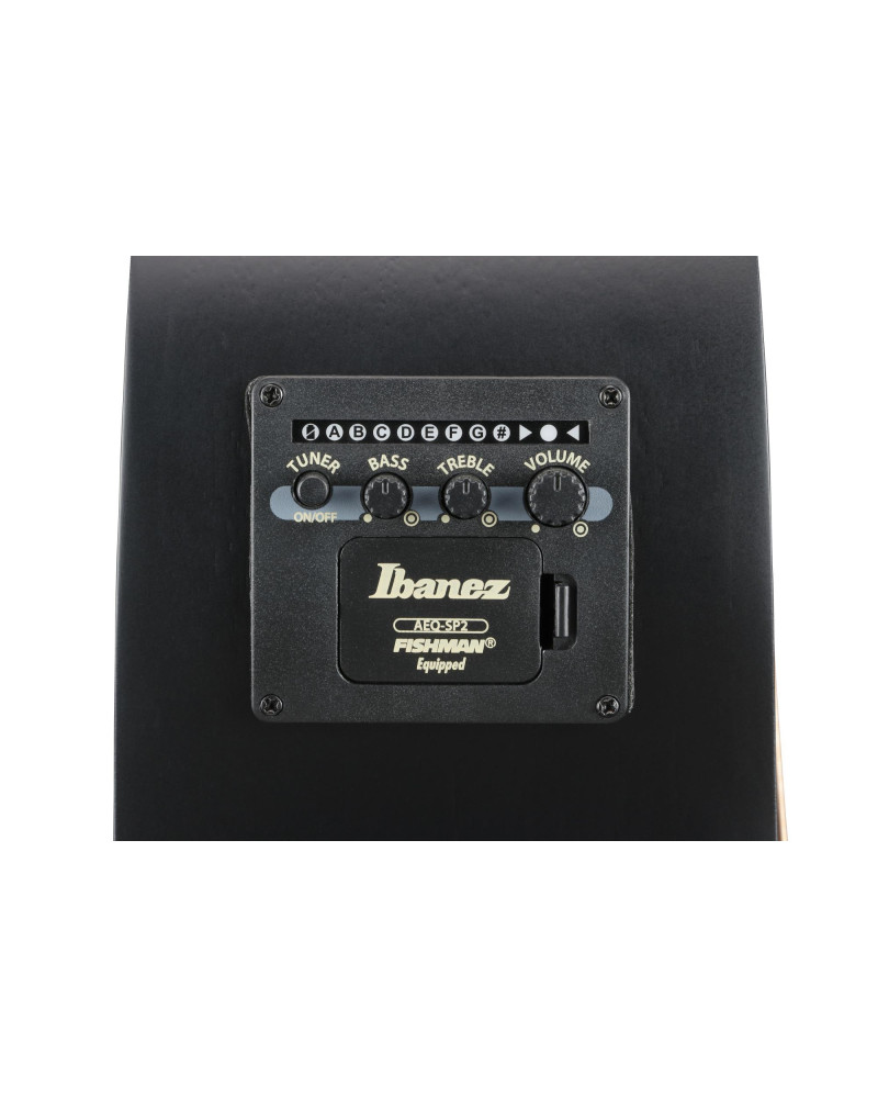 Ibanez 1B-AEG721-BOT AEG Acoustic Guitar 7-String - Black Out