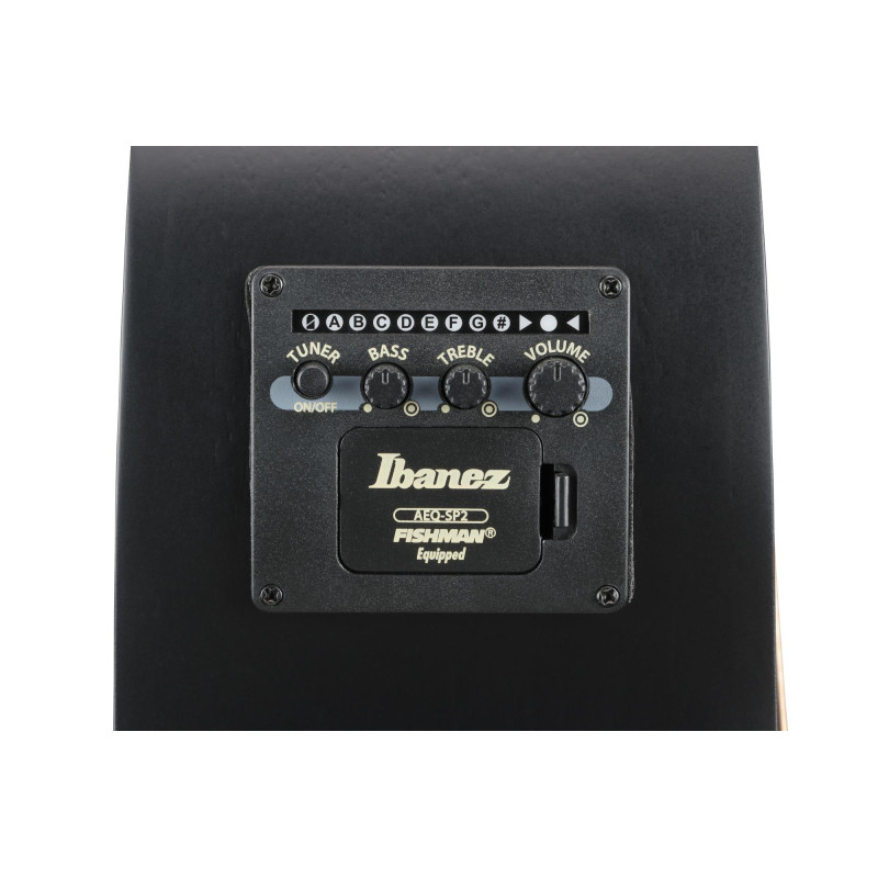 Ibanez 1B-AEG721-BOT AEG Acoustic Guitar 7-String - Black Out