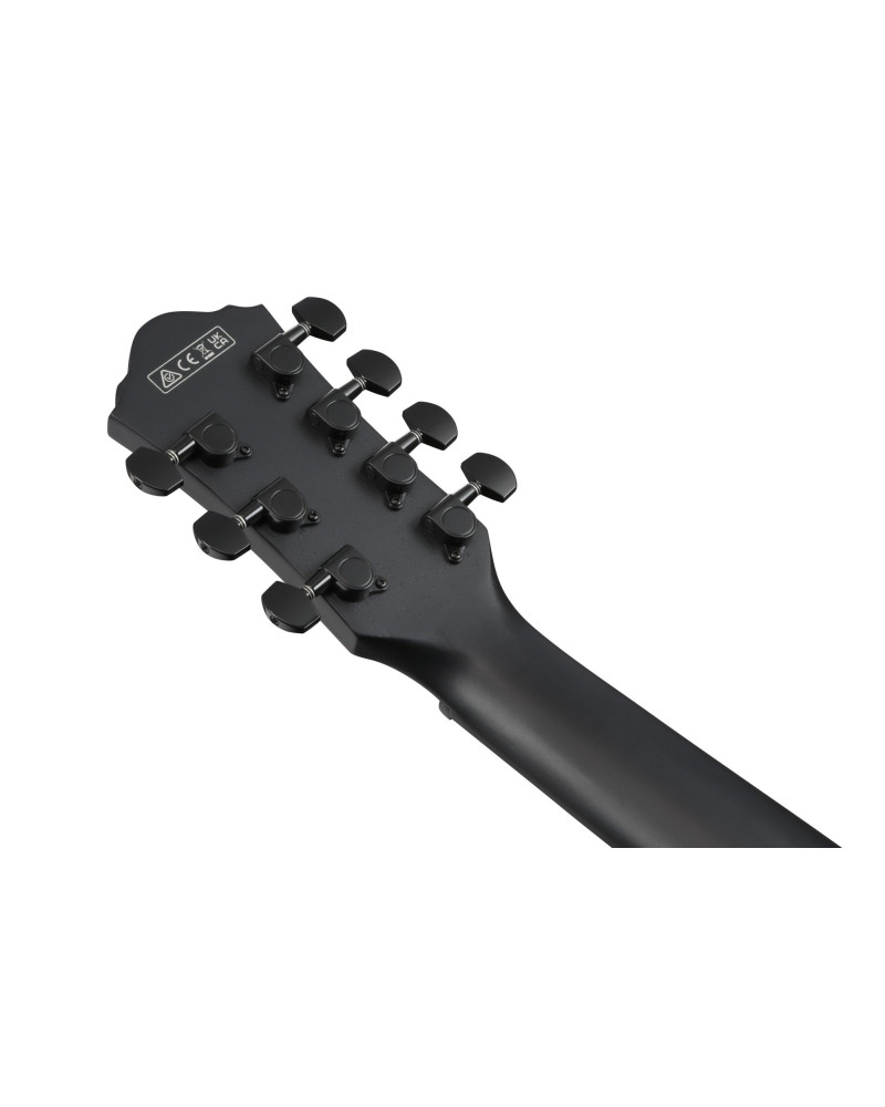 Ibanez 1B-AEG721-BOT AEG Acoustic Guitar 7-String - Black Out
