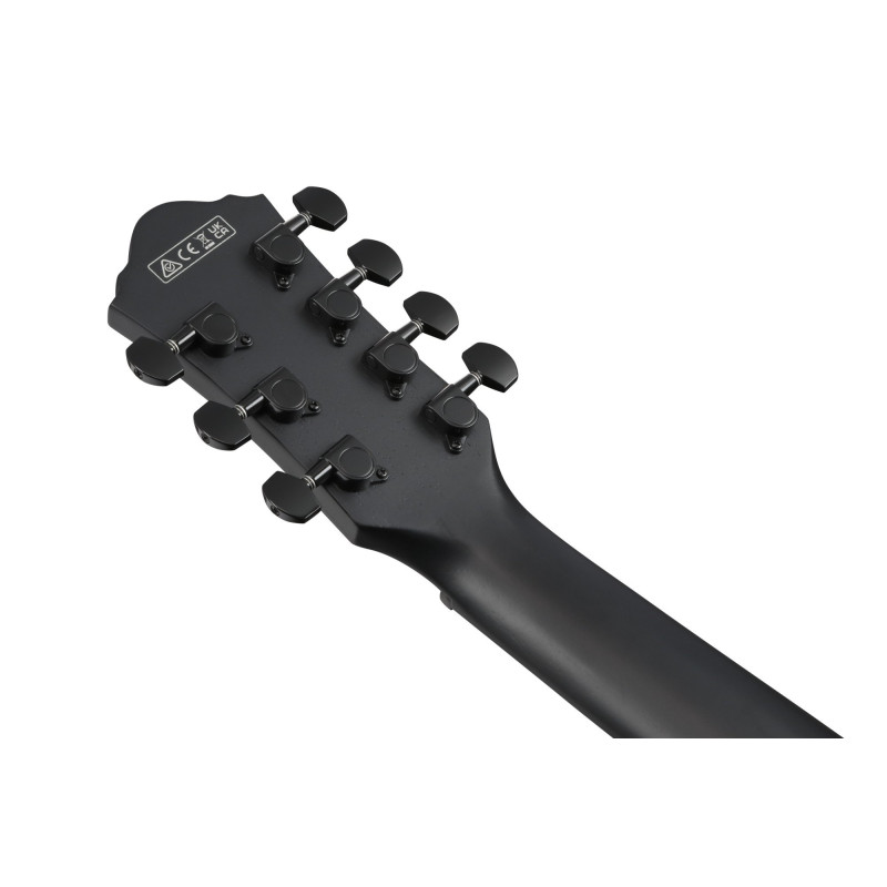 Ibanez 1B-AEG721-BOT AEG Acoustic Guitar 7-String - Black Out