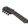 Ibanez 1B-AEG721-BOT AEG Acoustic Guitar 7-String - Black Out