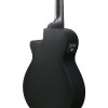 Ibanez 1B-AEG721-BOT AEG Acoustic Guitar 7-String - Black Out