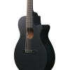 Ibanez 1B-AEG721-BOT AEG Acoustic Guitar 7-String - Black Out