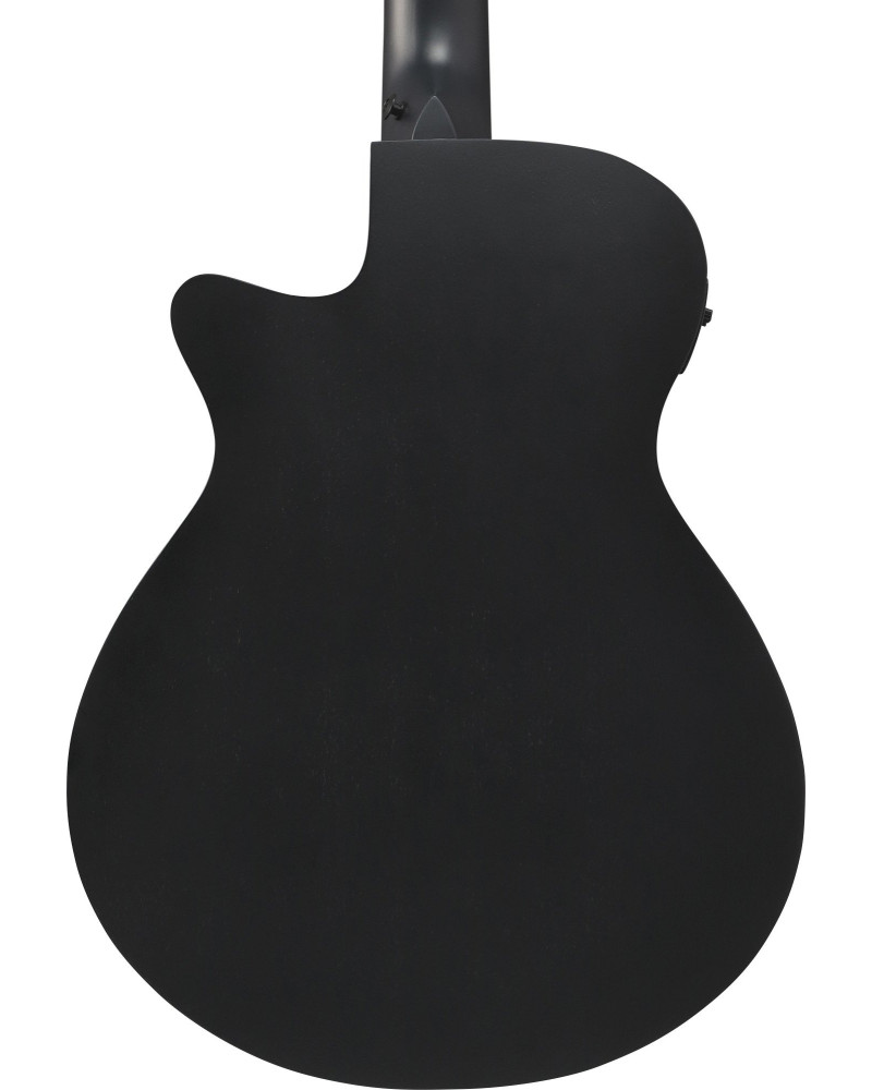 Ibanez 1B-AEG721-BOT AEG Acoustic Guitar 7-String - Black Out