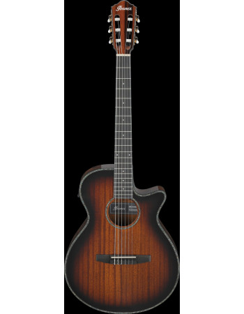 Ibanez AEG74N-MHS AEG Nylon String Guitar 6-String - Mahogany Sunburst High Gloss