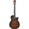 Ibanez AEG74N-MHS AEG Nylon String Guitar 6-String - Mahogany Sunburst High Gloss