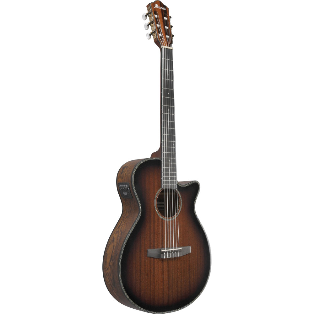 Ibanez AEG74N-MHS AEG Nylon String Guitar 6-String - Mahogany Sunburst High Gloss