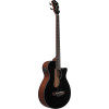 Ibanez AEGB24E-BKH AEGB Acoustic Bass 4-String - Black High Gloss