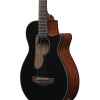 Ibanez AEGB24E-BKH AEGB Acoustic Bass 4-String - Black High Gloss