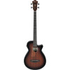 Ibanez AEGB24E-MHS AEGB Acoustic Bass 4-String - Mahogany Sunburst Open Pore