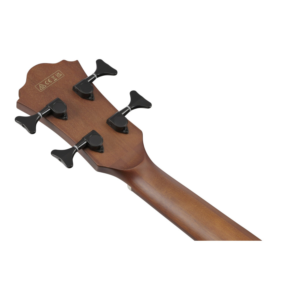 Ibanez AEGB24FE-MHS AEGB Acoustic Bass 4-String Fretless - Mahogany Sunburst High Gloss