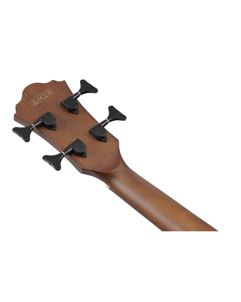 Ibanez AEGB24FE-MHS AEGB Acoustic Bass 4-String Fretless - Mahogany Sunburst High Gloss