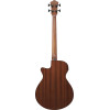 Ibanez AEGB24FE-MHS AEGB Acoustic Bass 4-String Fretless - Mahogany Sunburst High Gloss