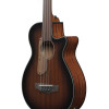 Ibanez AEGB24FE-MHS AEGB Acoustic Bass 4-String Fretless - Mahogany Sunburst High Gloss
