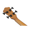Ibanez AEGB25E-TKH AEGB Acoustic Bass 4-String - Transparent Black Sunburst, Natural High Gloss Back & Sides