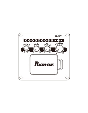 Ibanez AEWC16QA-TLH AEWC Acoustic Guitar 6-String - Transparent Blue Sunburst Top & Natural High Gloss Back & Side