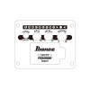 Ibanez AEWC621-BOT AEWC Acoustic Guitar 6-String - Black Out