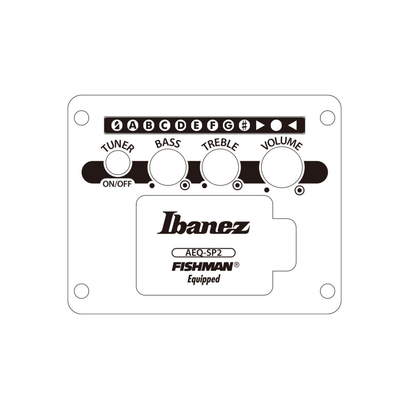 Ibanez AEWC621-BOT AEWC Acoustic Guitar 6-String - Black Out