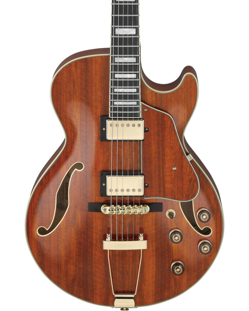 Ibanez AG95K-NT Artcore Expressionist AG Hollow Body Guitar 6-String - Natural