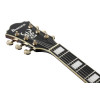 Ibanez AG95QA-DBS Artcore Expressionist AG Hollow Body Guitar 6-String - Desert Brown Sunburst