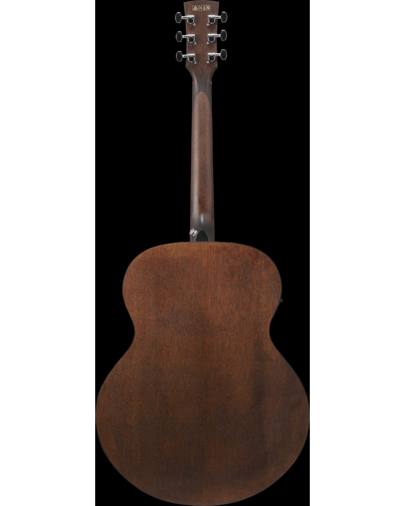 Ibanez AJ54E-OPN AJ Acoustic Guitar 6-String - Open Pore Natural