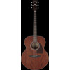 Ibanez AJ54E-OPN AJ Acoustic Guitar 6-String - Open Pore Natural