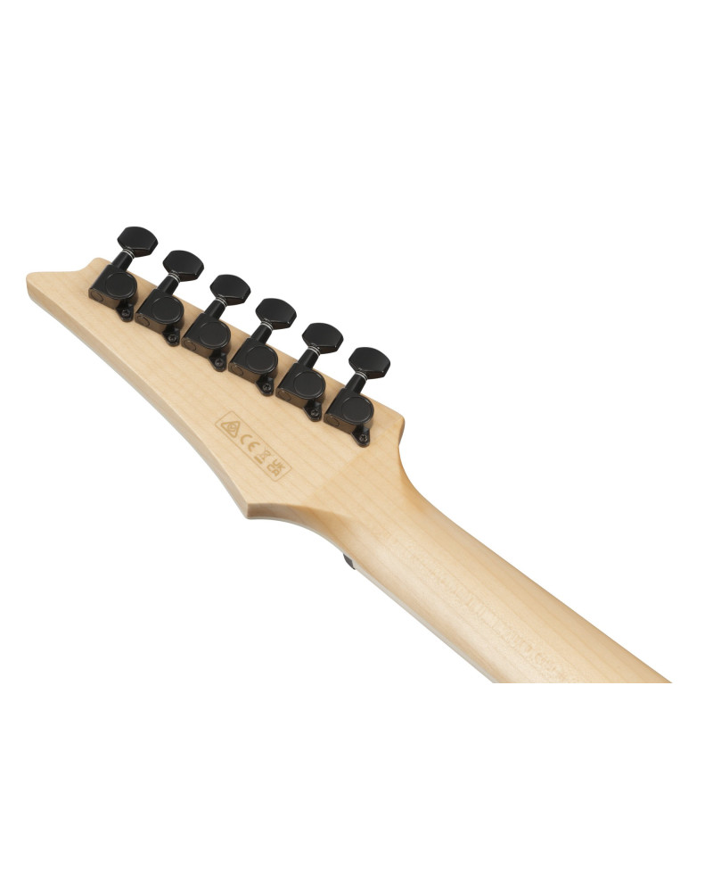 Ibanez ALT50FA-TVT ALT Acoustic Guitar 6-String - Transparent Violet Sunburst