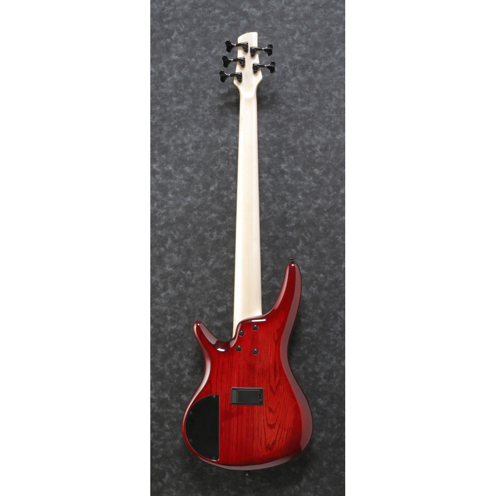 Ibanez ANB205-TWB Adam Nitti Signature Electric Bass 5-String - Transparent Wine Red Burst + Premium Softcase