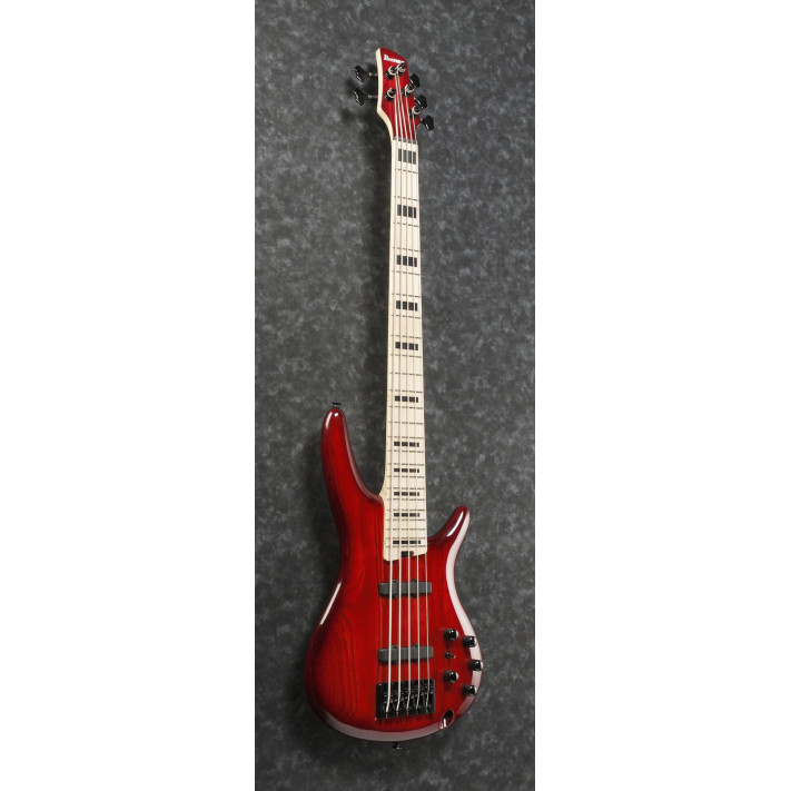 Ibanez ANB205-TWB Adam Nitti Signature Electric Bass 5-String - Transparent Wine Red Burst + Premium Softcase