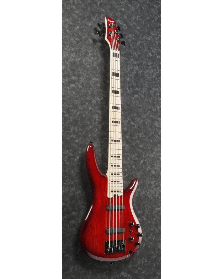 Ibanez ANB205-TWB Adam Nitti Signature Electric Bass 5-String - Transparent Wine Red Burst + Premium Softcase
