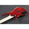Ibanez ANB205-TWB Adam Nitti Signature Electric Bass 5-String - Transparent Wine Red Burst + Premium Softcase