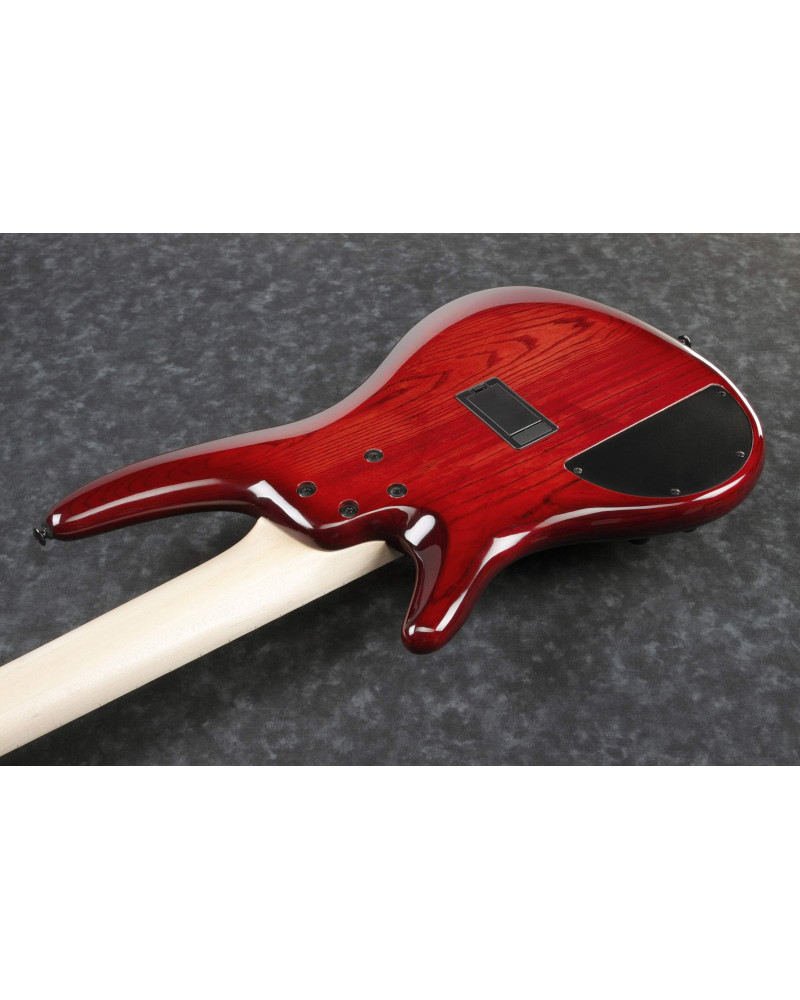 Ibanez ANB205-TWB Adam Nitti Signature Electric Bass 5-String - Transparent Wine Red Burst + Premium Softcase