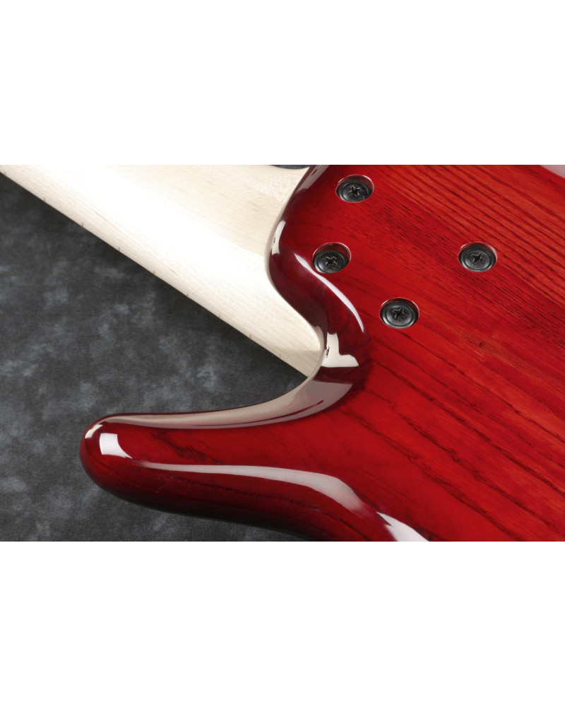 Ibanez ANB205-TWB Adam Nitti Signature Electric Bass 5-String - Transparent Wine Red Burst + Premium Softcase